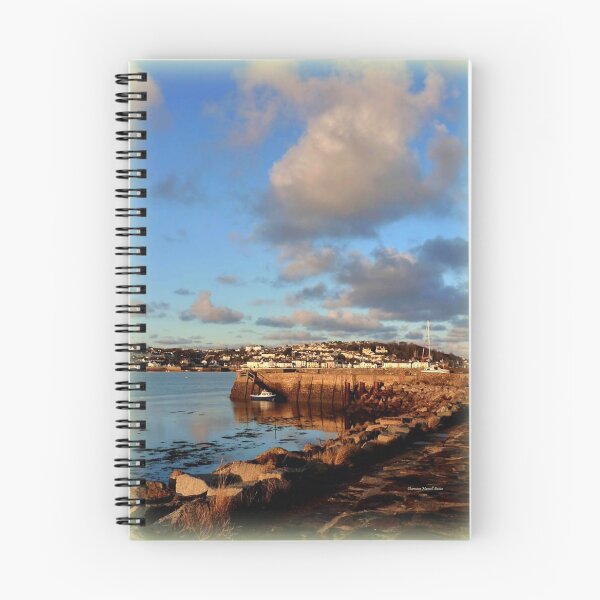 Item preview, Pier at Instow designed and sold by Charmiene Maxwell-Batten.