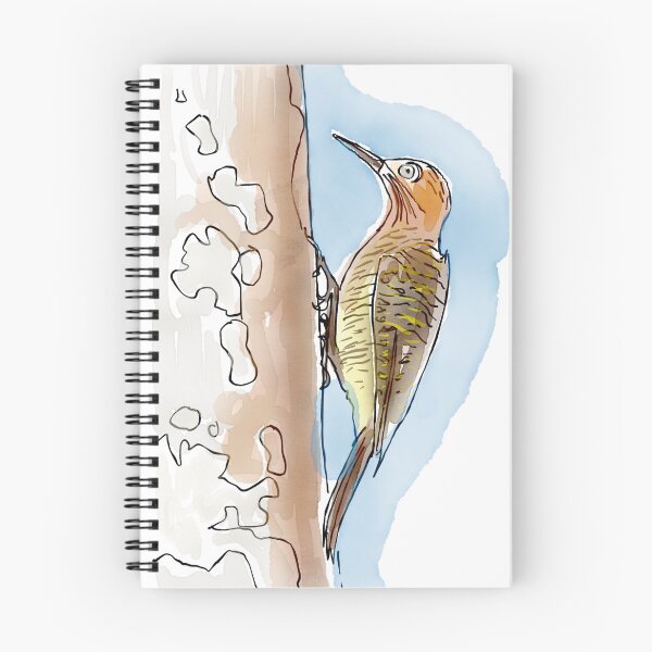 Item preview, Fernandina's Flicker designed and sold by gboscherini.