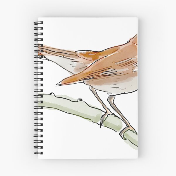 Item preview, Nightingale designed and sold by gboscherini.