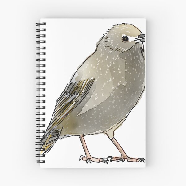 Item preview, Starling designed and sold by gboscherini.