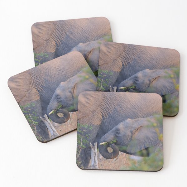 Item preview, Elephant Calf in Kruger National Park designed and sold by DKBasson.