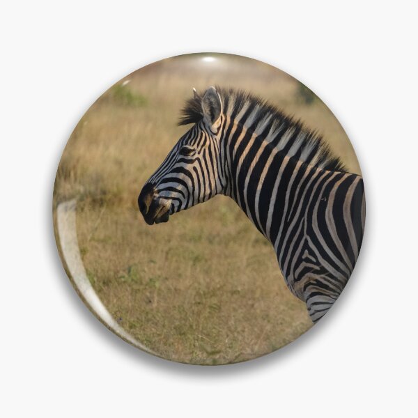 Item preview, Zebra and Oxpecker in Kruger National Park designed and sold by DKBasson.