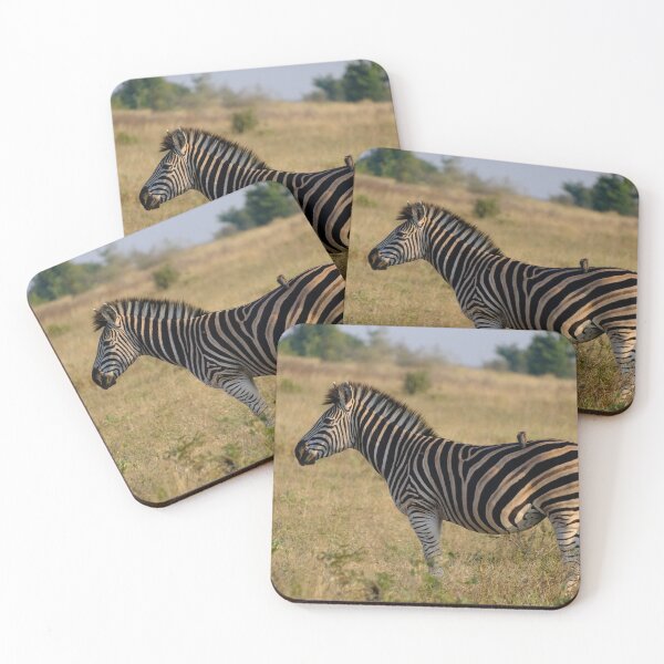 Item preview, Zebra and Oxpecker in Kruger National Park designed and sold by DKBasson.