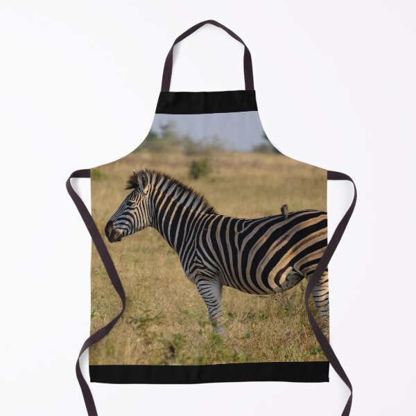Item preview, Zebra and Oxpecker in Kruger National Park designed and sold by DKBasson.