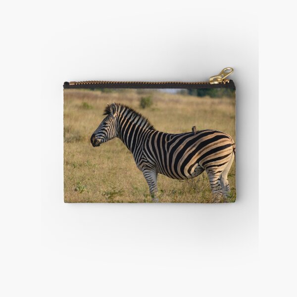 Item preview, Zebra and Oxpecker in Kruger National Park designed and sold by DKBasson.