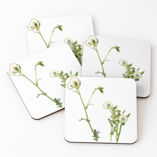 Item preview, Dandelion  designed and sold by Ashley’sAnimalz.