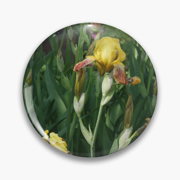 Item preview, Irises designed and sold by Wildwood Studio.