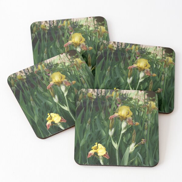 Item preview, Irises designed and sold by Wildwood Studio.
