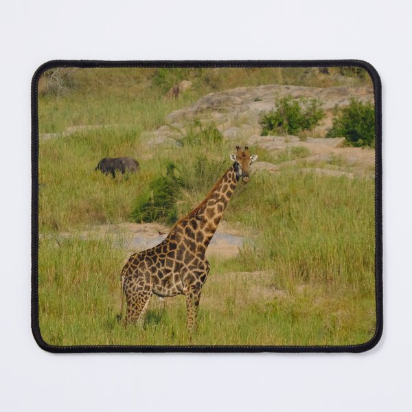 Item preview, Giraffe Watching in Kruger National Park designed and sold by DKBasson.