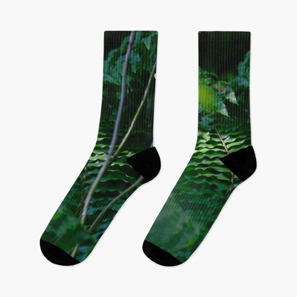 Item preview, Wavy Fern Leaves in Dappled Light designed and sold by DKBasson.
