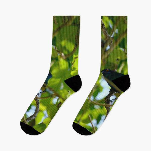 Item preview, Bright-Eyed Bird in Foliage designed and sold by DKBasson.