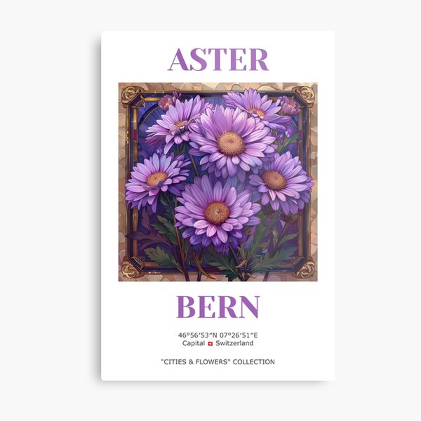 Bern Switzerland Travel Wall Art. Aster flowers. Metal Print