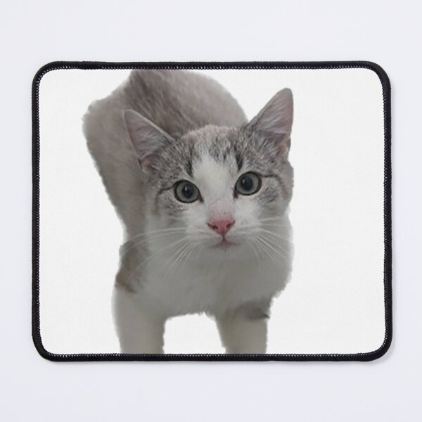 Item preview, Cat with dangling paws designed and sold by observation.