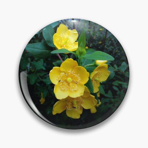 Item preview, St. John's Wort 3 original artwork designed and sold by paragonDesign28.