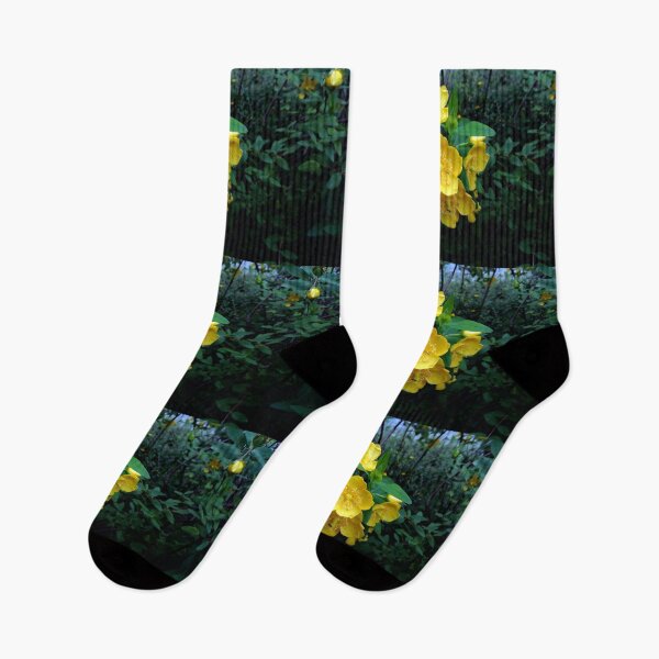Item preview, St. John's Wort 3 original artwork designed and sold by paragonDesign28.
