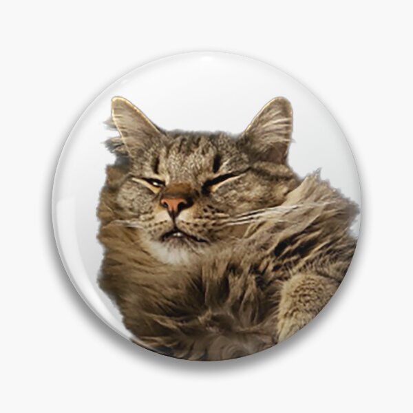 Item preview, Fluffy brown cat designed and sold by observation.