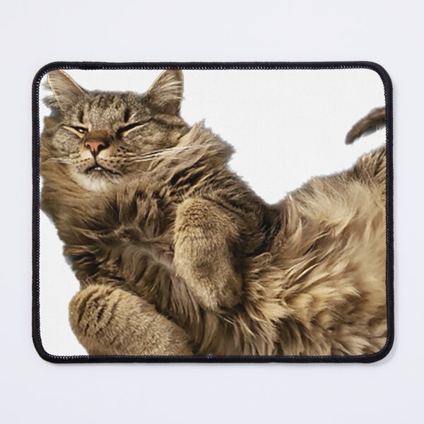 Item preview, Fluffy brown cat designed and sold by observation.