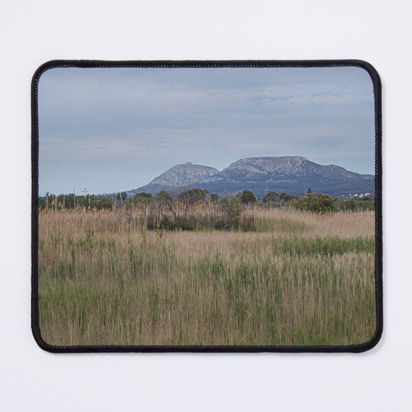 Item preview, Sanctuary. designed and sold by Paul Pasco.