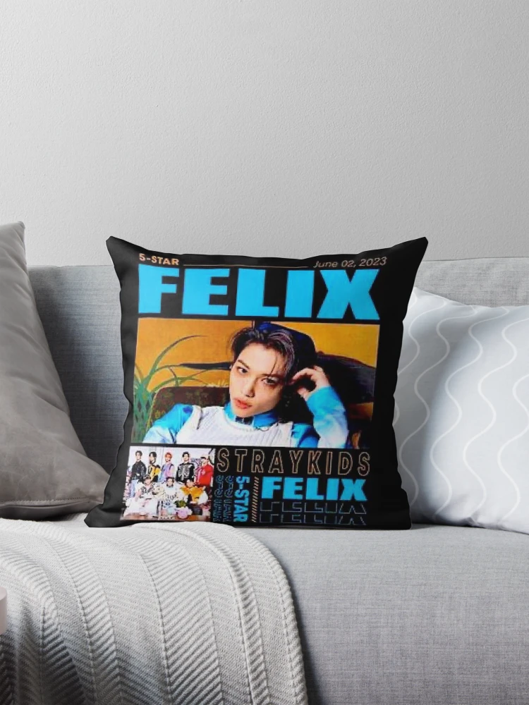 Lee Felix Stray Kids SKZ ot8 kpop 