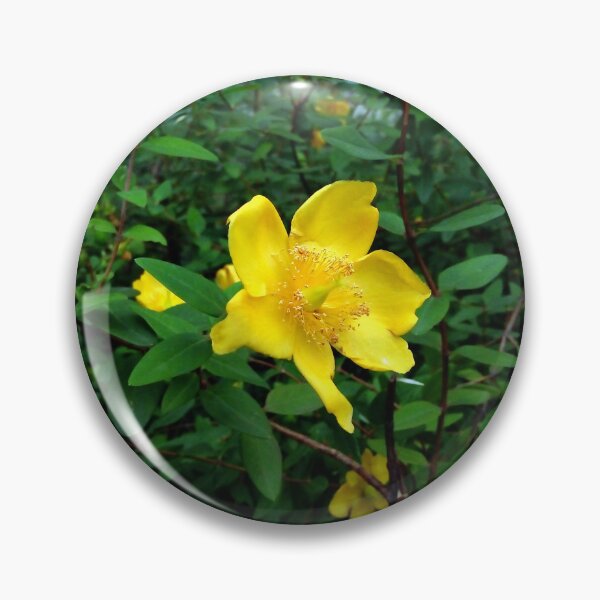 Item preview, St. John's Wort 2 original artwork designed and sold by paragonDesign28.