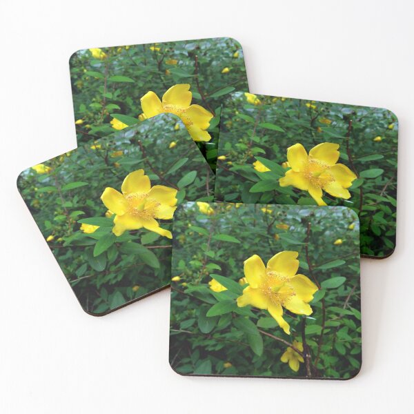 Item preview, St. John's Wort 2 original artwork designed and sold by paragonDesign28.