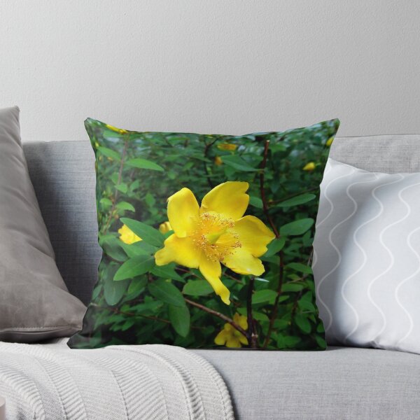 Item preview, St. John's Wort 2 original artwork designed and sold by paragonDesign28.