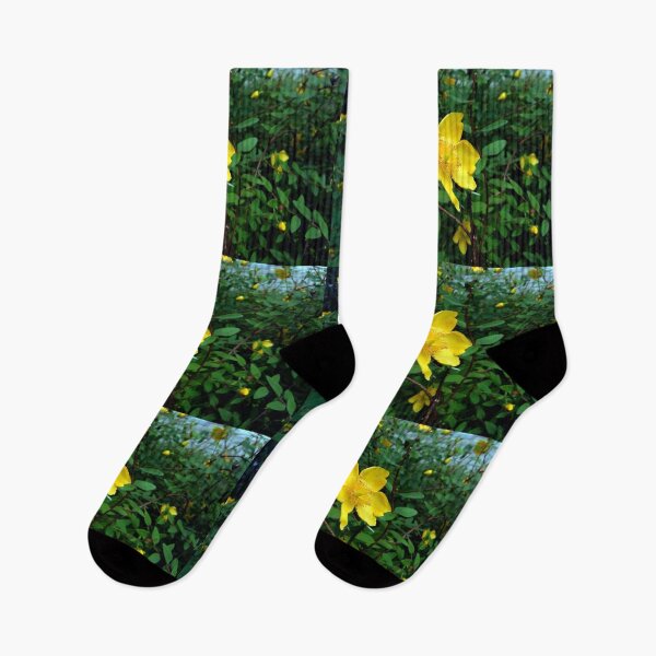 Item preview, St. John's Wort 2 original artwork designed and sold by paragonDesign28.