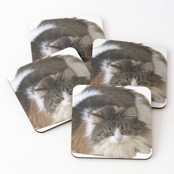 Item preview, Big fluffy cat designed and sold by observation.