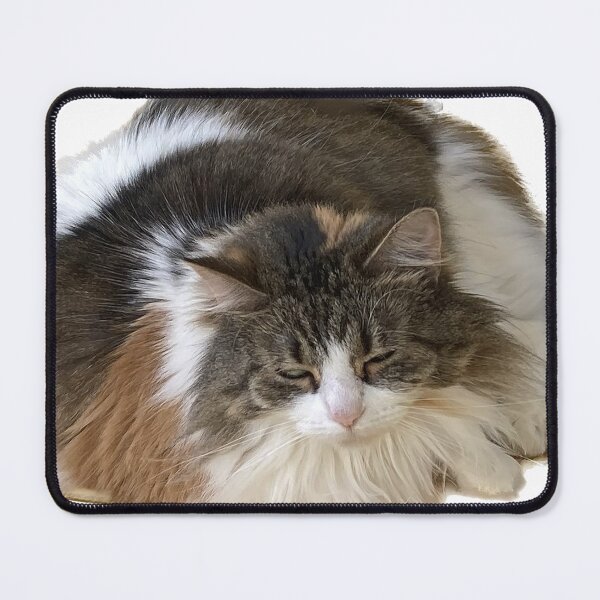 Item preview, Big fluffy cat designed and sold by observation.
