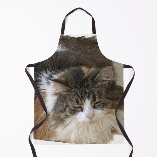 Item preview, Big fluffy cat designed and sold by observation.