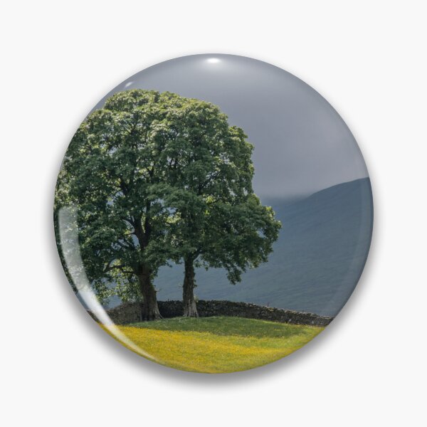 Artikelvorschau, Sonnenbeschienene Wiese entworfen und verkauft von mikebov.