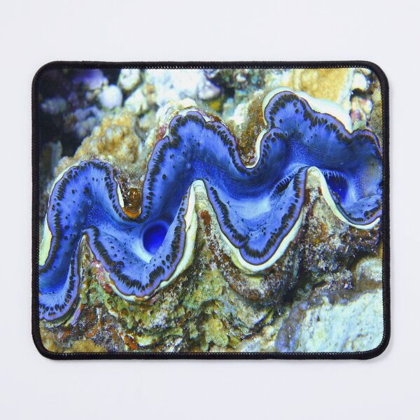 Item preview, Violet Indigo Blue Maxima Clam designed and sold by Ahmed ElMekawy.