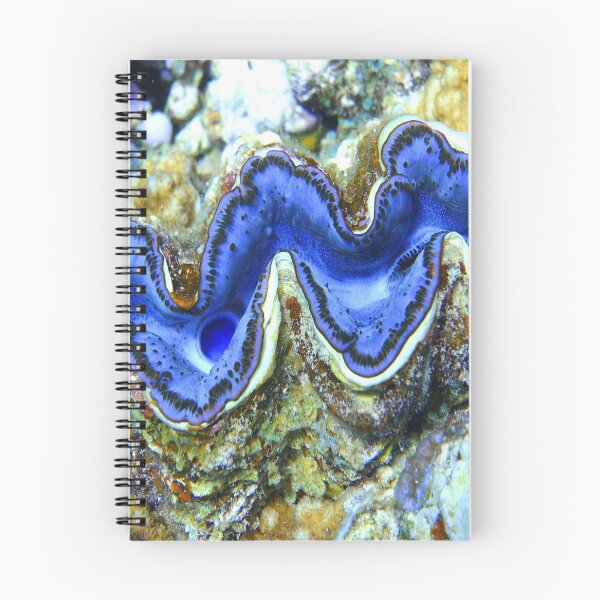 Item preview, Violet Indigo Blue Maxima Clam designed and sold by Ahmed ElMekawy.