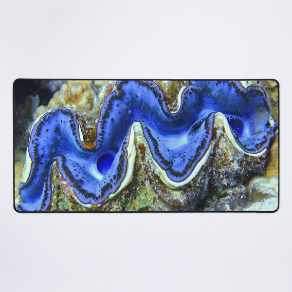 Item preview, Violet Indigo Blue Maxima Clam designed and sold by Ahmed ElMekawy.