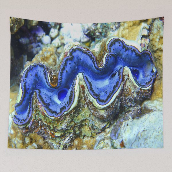 Item preview, Violet Indigo Blue Maxima Clam designed and sold by Ahmed ElMekawy.