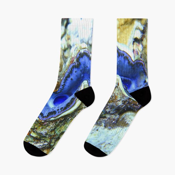 Item preview, Violet Indigo Blue Maxima Clam designed and sold by Ahmed ElMekawy.