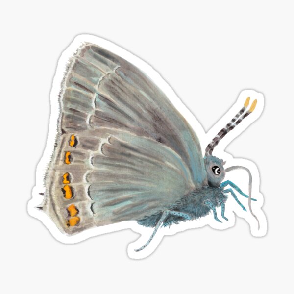 Item preview, Ilex Hairstreak Butterfly illustration designed and sold by Julia Doria.