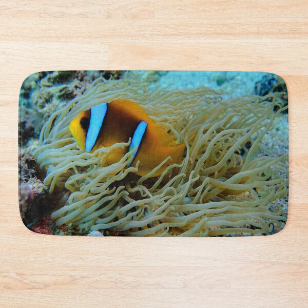 Item preview, Clown Fish Marsa Alam Egypt designed and sold by Ahmed ElMekawy.