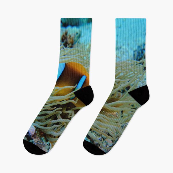 Item preview, Clown Fish Marsa Alam Egypt designed and sold by Ahmed ElMekawy.