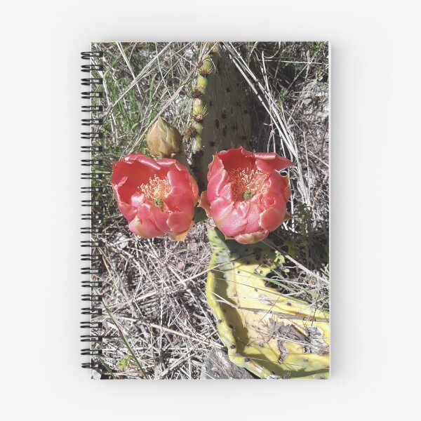 Item preview, Cactus Blooms designed and sold by Twigster.