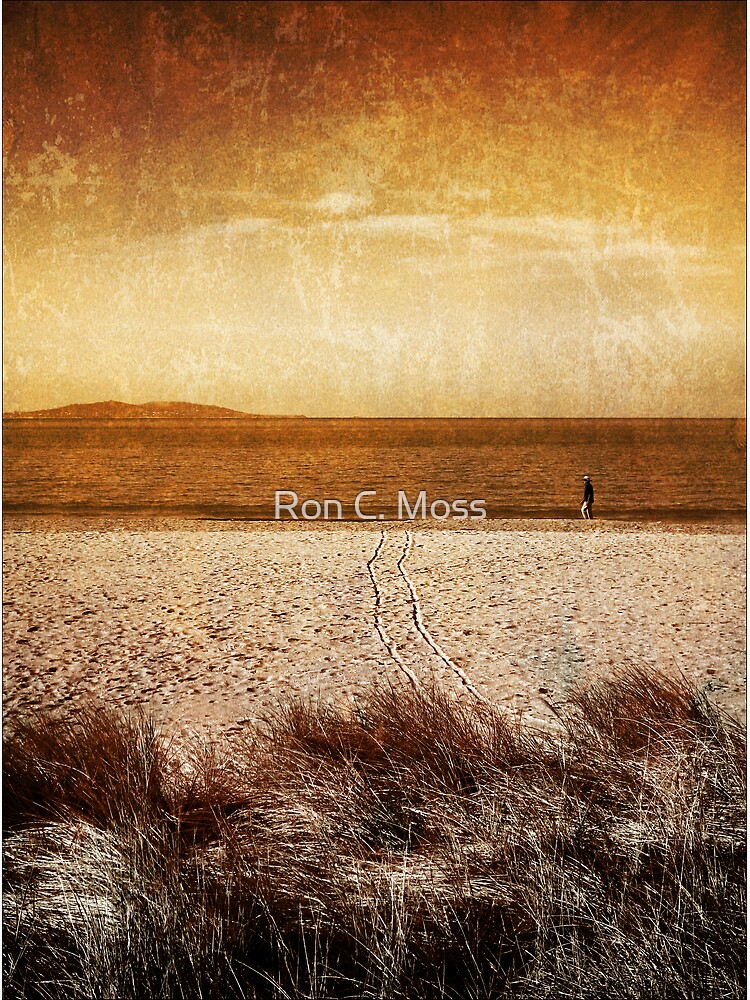 Gone To Sea by ronmoss