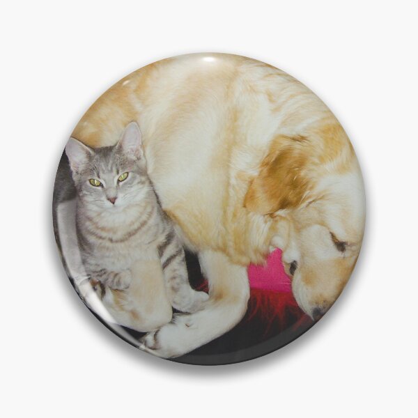 Item preview, Cuddly dog and cat duo photography designed and sold by Carré Comme Orange.