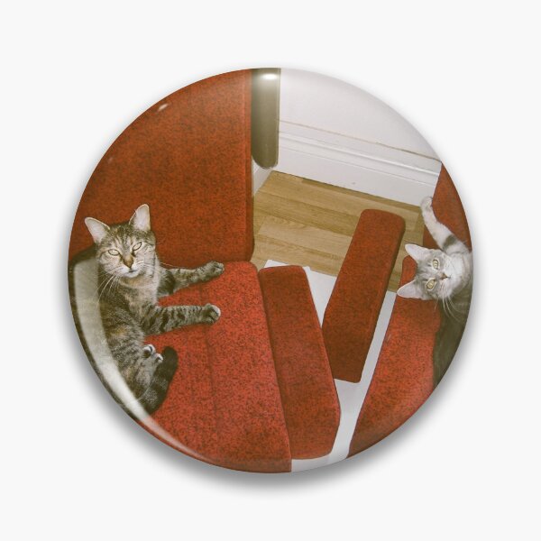 Item preview, Photograph of duo cats on cinema chair designed and sold by Carré Comme Orange.