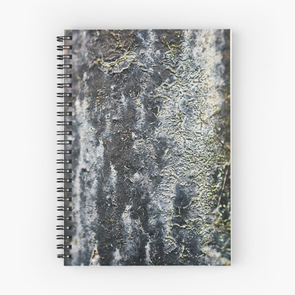 Item preview, Patina designed and sold by Eidetic Photos.
