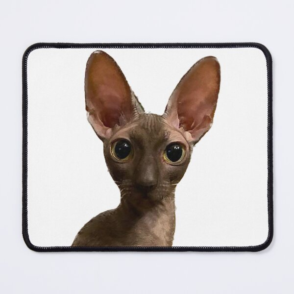 Artikelvorschau, Großohrige Sphinxkatze entworfen und verkauft von observation.