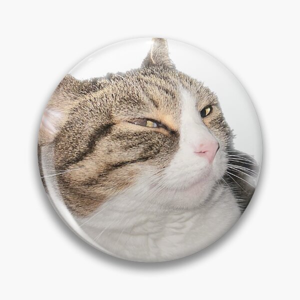 Item preview, Mischievous cat designed and sold by observation.