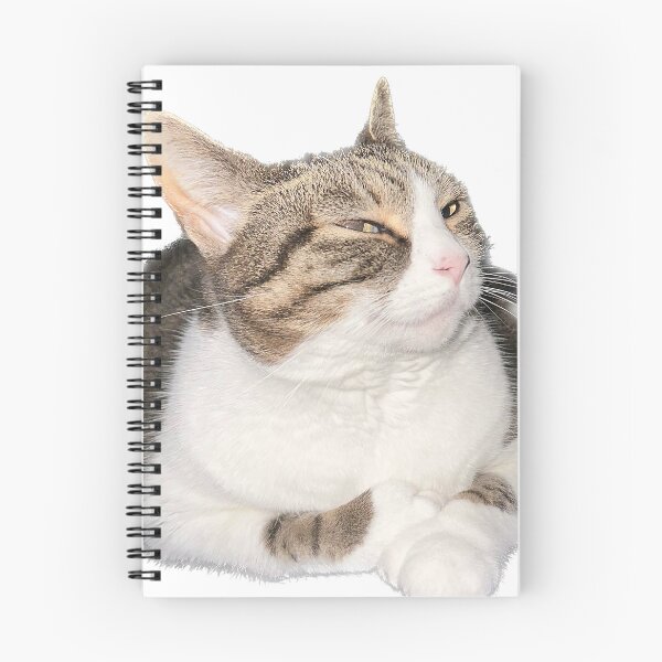 Item preview, Mischievous cat designed and sold by observation.