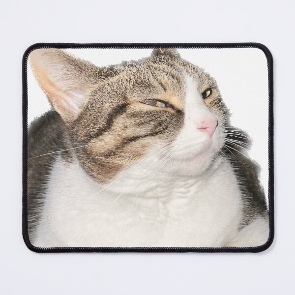 Item preview, Mischievous cat designed and sold by observation.