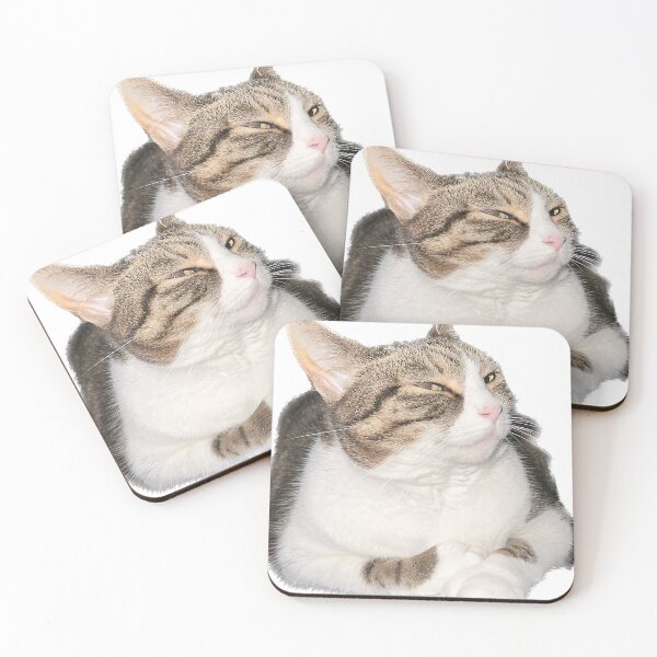 Item preview, Mischievous cat designed and sold by observation.