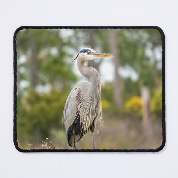 Item preview, Majestic Heron designed and sold by TinyDinoDesigns.